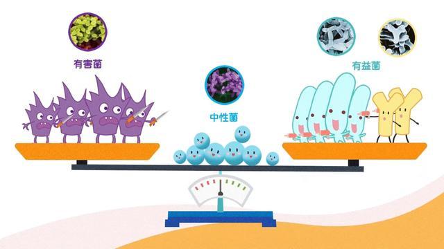 男同志啪啪的亲密指南，探索健康关系，享受愉悦时光