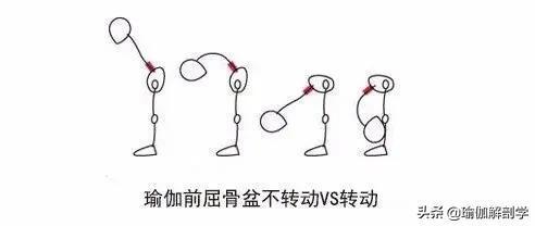 成人瑜伽AAA片免费看轻松入门，快速掌握基础动作，享受健康生活乐趣