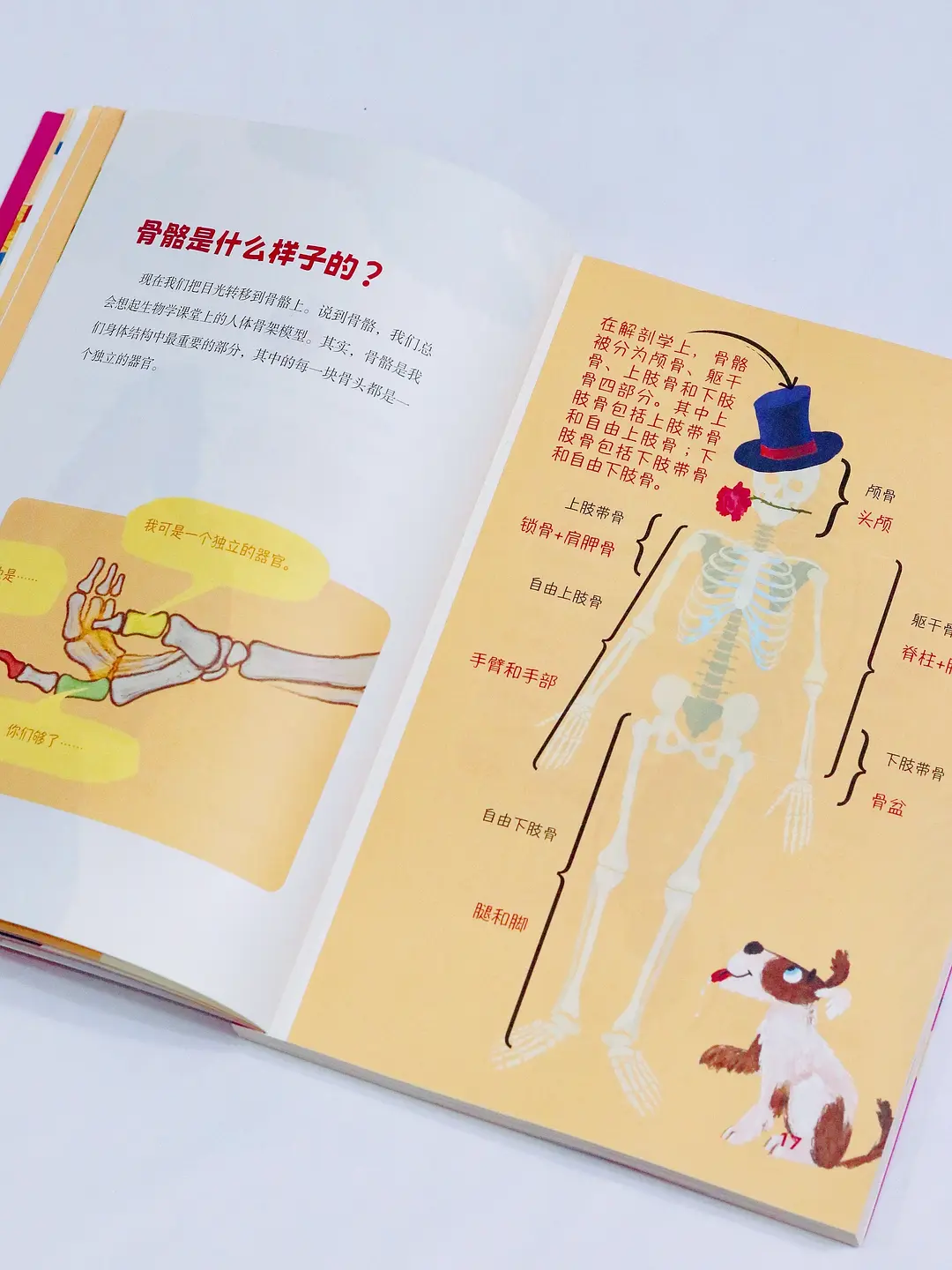 肥女做爱技巧分享，提升愉悦体验，探索身体奥秘