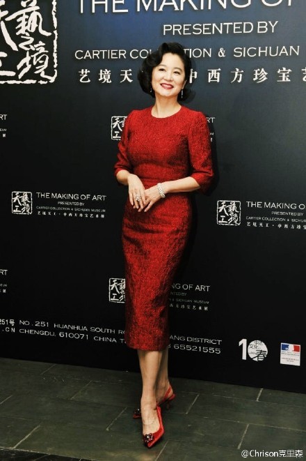 中国老太HD浜展现熟女魅力，优雅老去风采，岁月沉淀独特韵味