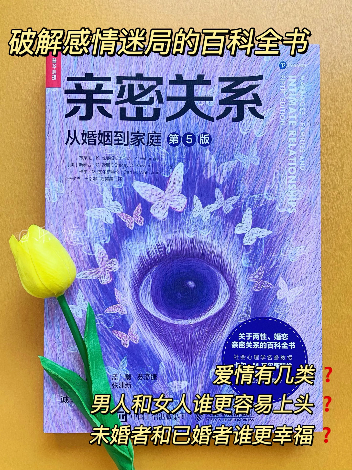 2.男人进女人无遮挡，深夜邂逅，欲望与理智的较量，情感迷局待解