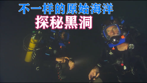 69人勇闯神秘69浜探秘未知领域，揭开隐藏真相，挑战极限生存