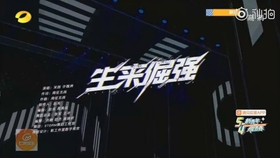 美国国产小电影揭秘本土制作幕后故事，探索独立导演创意，感受真实生活魅力