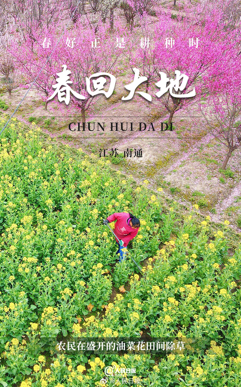 青青艹黄色映照大地生机盎然，春意盎然，希望无限