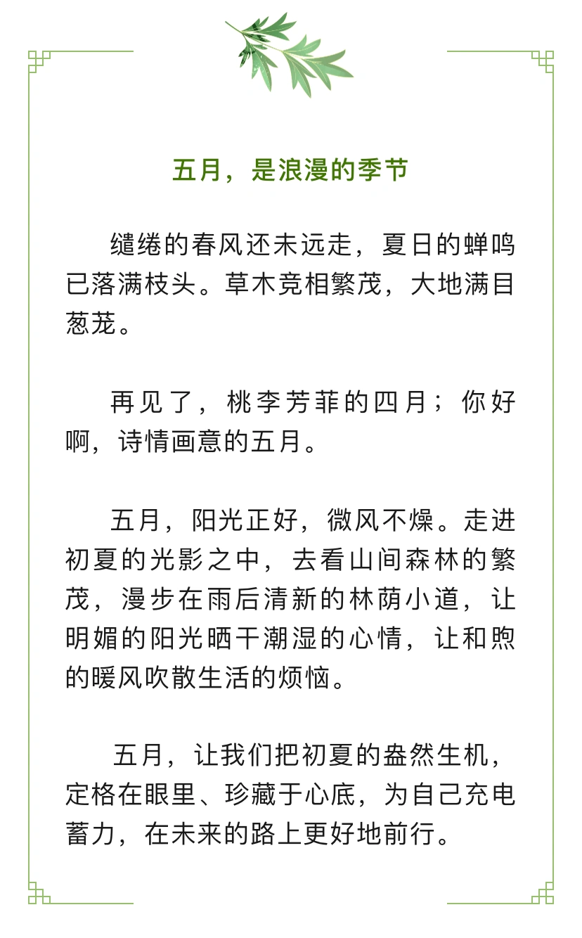 丁香五月婷婷激情四射绽放初夏浪漫，邂逅心动时光，谱写青春热恋篇章