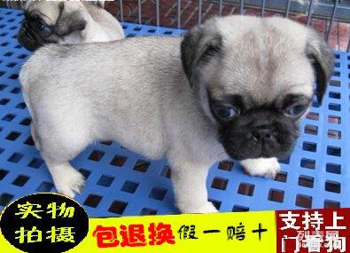 午夜精品一区二区三区高清震撼上线，畅享视觉盛宴，品质无可挑剔