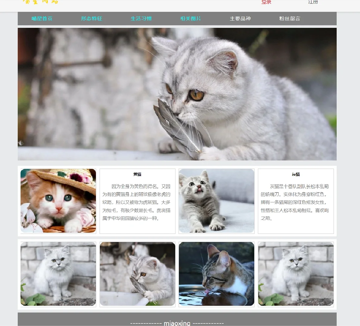 猫咪免费人成网站www推荐优质猫咪免费人成网站www资源，轻松获取，快乐分享