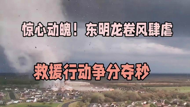 2.青青草人妻的温柔故事，坚韧人生，爱与希望同在