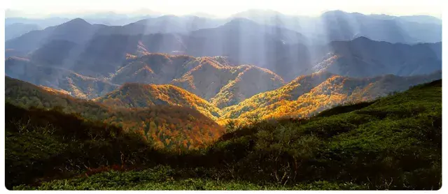 黑人暴躁范冰冰传奇人生坎坷经历，从巅峰到低谷，坚韧不拔终逆袭