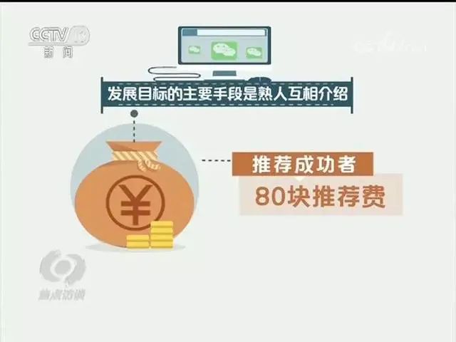 人禽交视频阅读答案浜引发热议，探索背后真相，揭秘争议焦点与深层影响