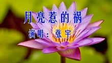 丁香狠狠色婷婷久久绽放芬芳，优雅迷人，久久难忘的绝美瞬间