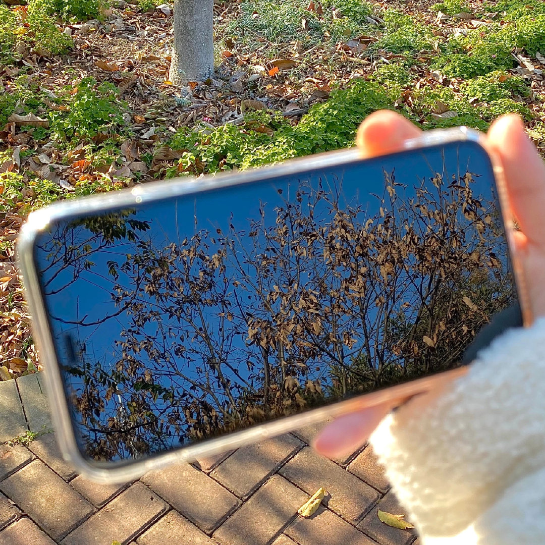 2.Skyayt极品人体展现独特魅力，探索艺术之美，解锁摄影技巧*