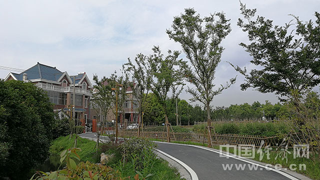 农村一级毛长片浜打造生态宜居乡村新风貌，提升农民生活品质，共建和谐家园