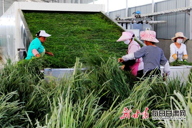 1.久久久青草国绿色生态新篇章