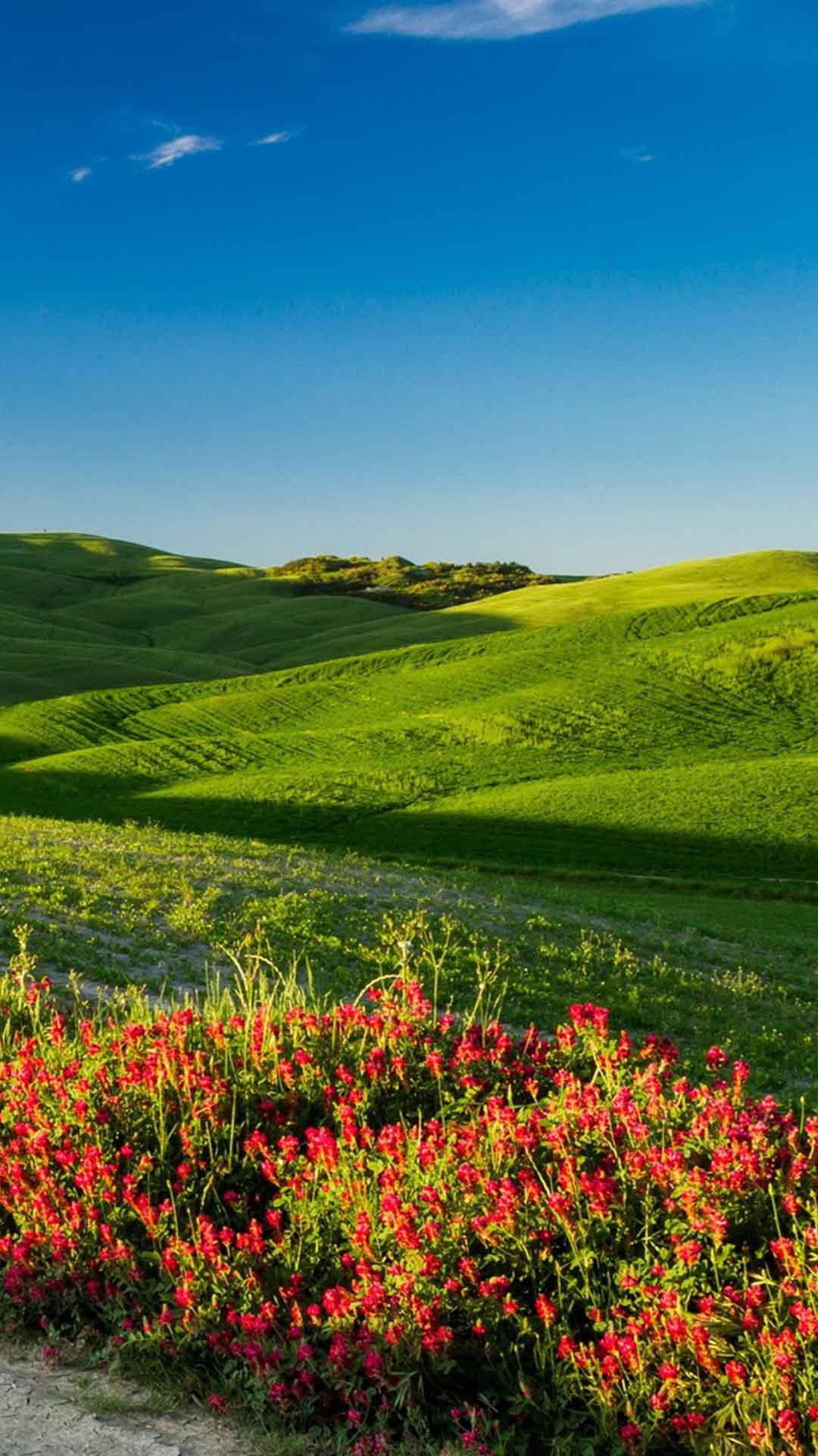 青青草任何人心中最美的风景 青青草任何人心中最美的风景