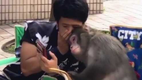 两人生猴子视频免费观看逗逗两人生猴子搞笑视频免费看逗完整版逗高清无码
