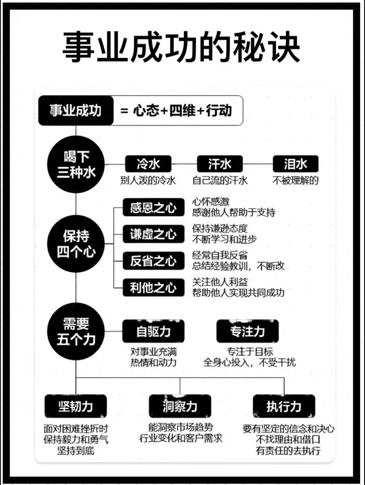 国产精品996崛起之路，揭秘成功秘诀，打造行业新标杆