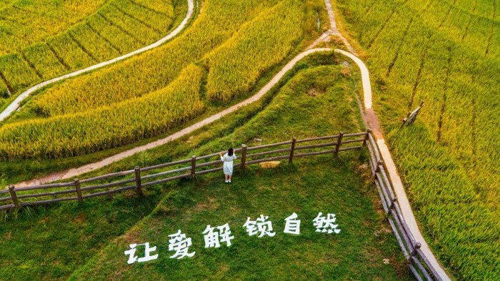 99青草国产精品推荐，精选优质青草产品，享受自然健康生活，国产精品等你来选