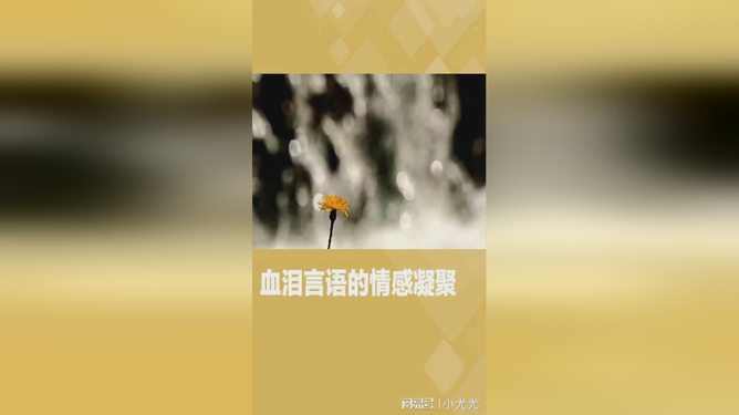 老肥妇色一区二区三区揭秘，真实生活写照，探索背后的故事与情感