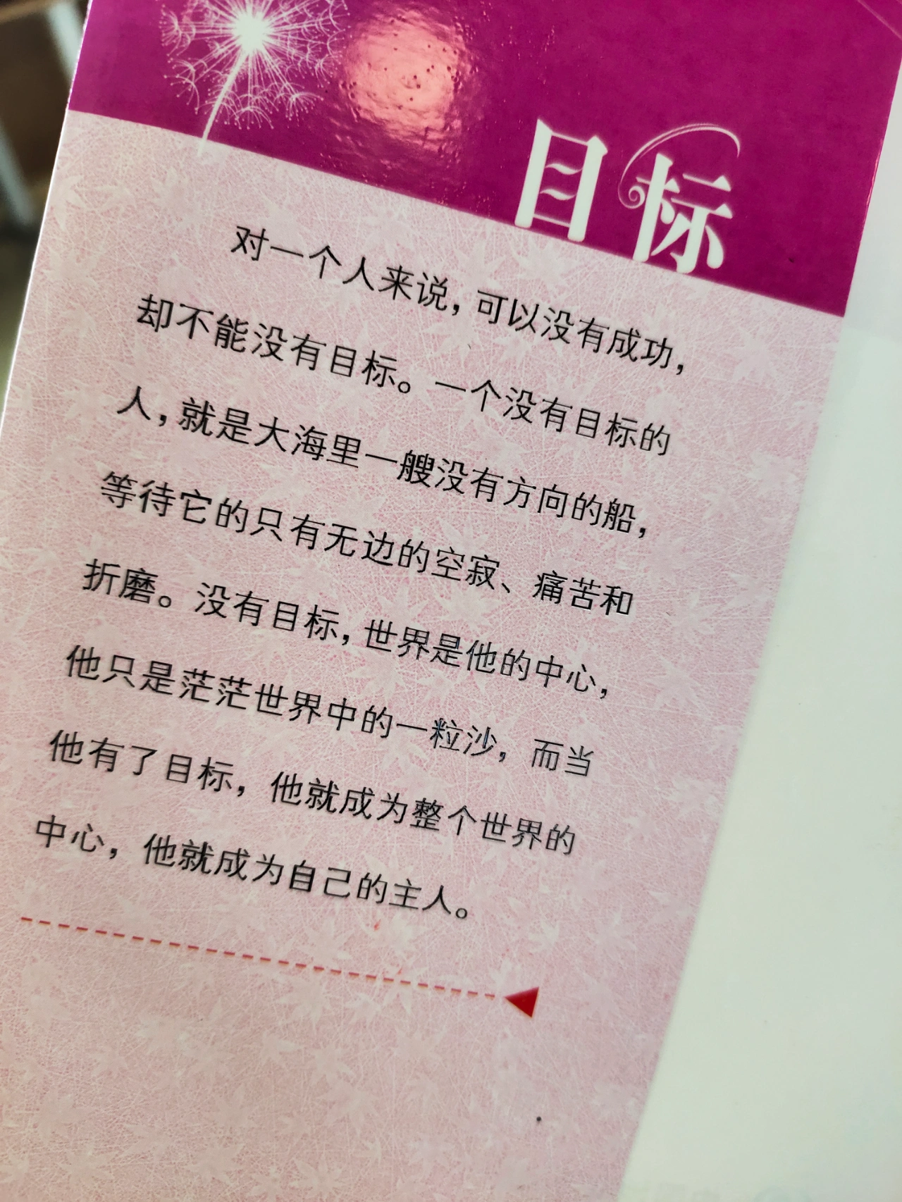 中国老妈的生活智慧与爱，温暖家庭，点亮人生，传承美好家风