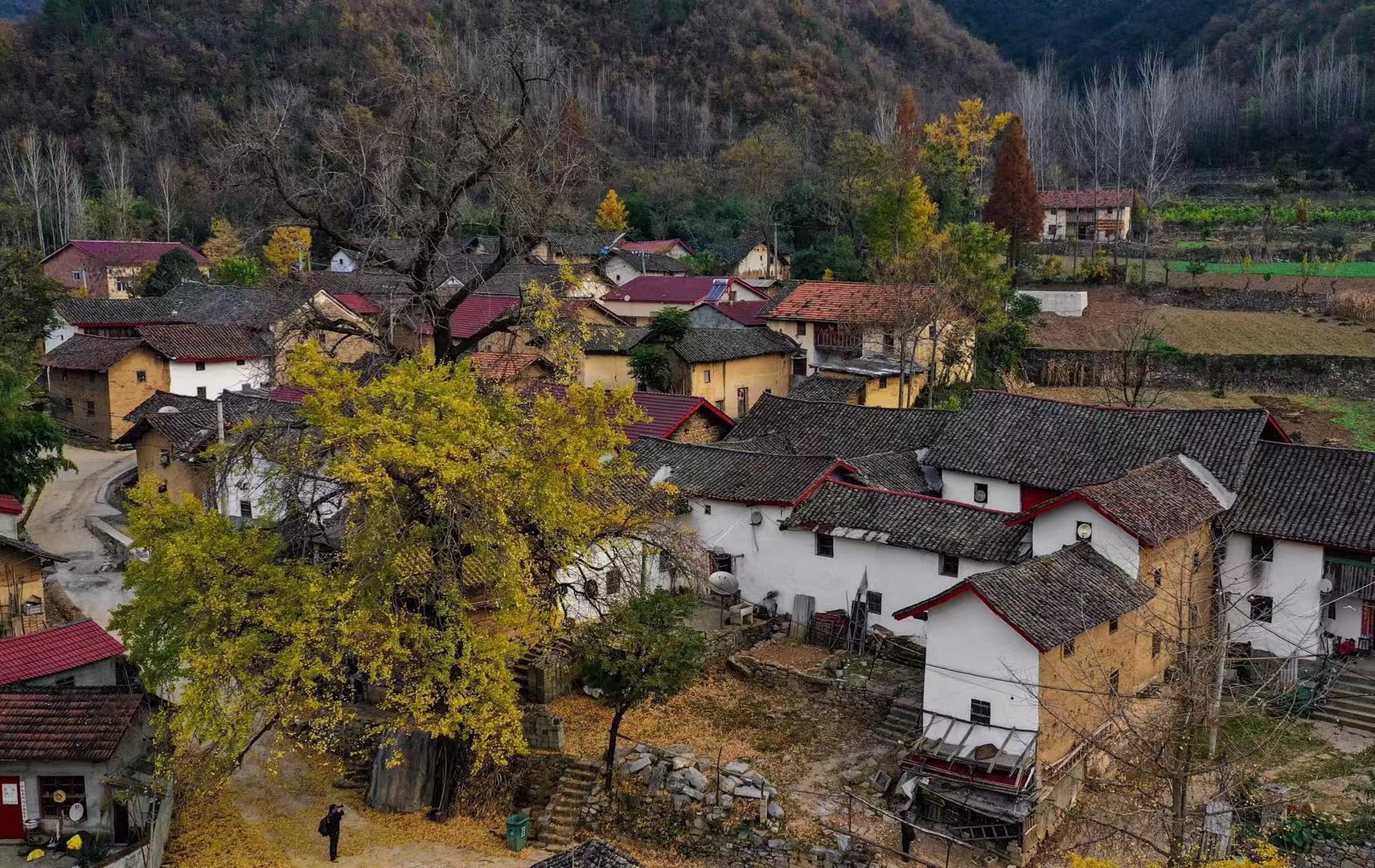 国产农村妇女做爱浜故事，展现乡土风情，真实情感交织，温暖人心