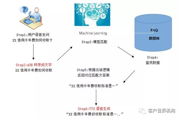 少妇BBBBBBBBB一区别与特点分析，探索差异，了解独特之处，深入解析不同点