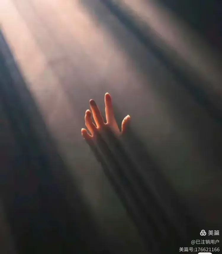 少女被强奸后的复仇之路，处女泪与血交织，黑暗中的救赎与觉醒