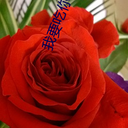 日韩AV亚洲AⅤ无码精彩合集高清画质流畅播放体验