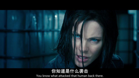 欧美又大粗又爽又黄大片视频震撼上线，顶级制作激情四射，独家内容限时放送