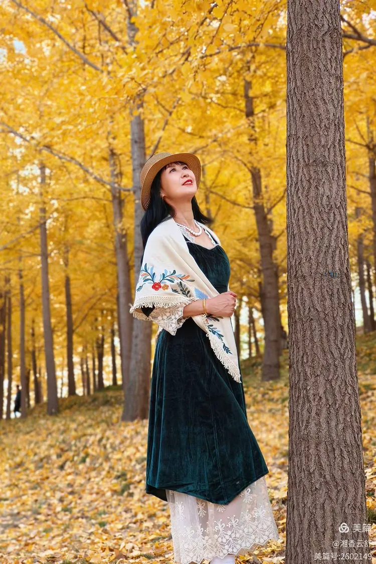 五月婷婷六月丁香综合绽放美丽芬芳，探寻自然魅力，感受季节变换的优雅风情