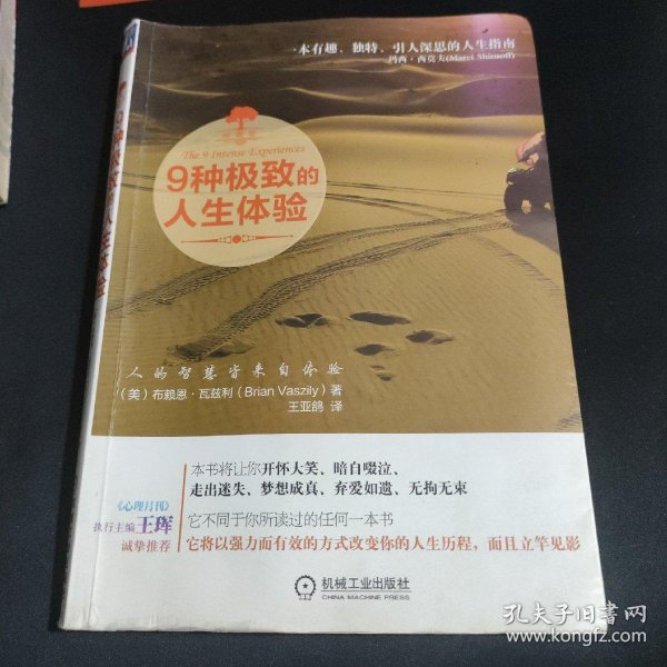 成年人专区探索隐秘欲望与情感世界的深度指南，解锁成熟魅力，体验独特人生