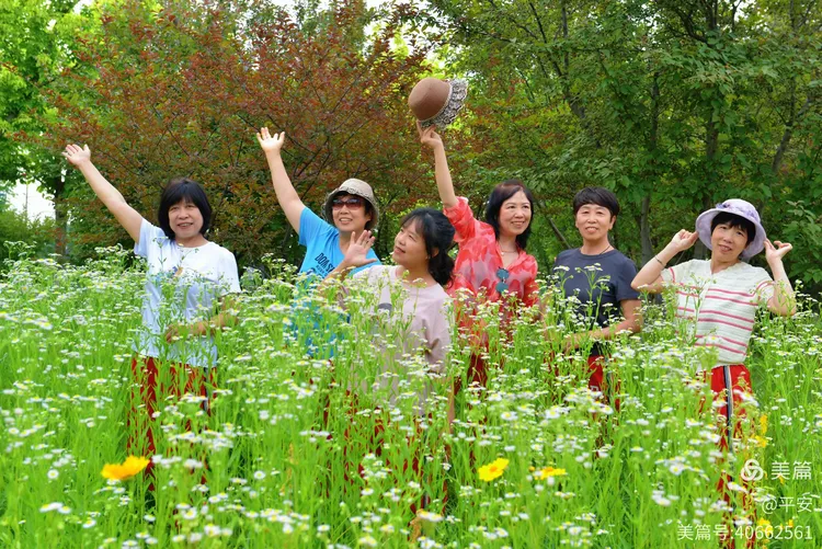 清纯唯美激情绽放青春浪漫邂逅心动瞬间，谱写纯真爱恋篇章，定格永恒美好回忆