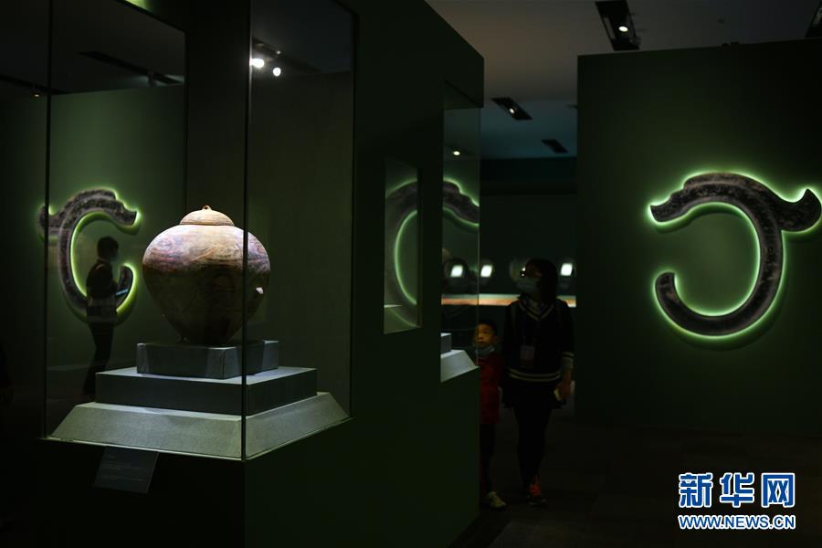 欧美人与禽性生活探索 现代欧美人与禽性生活关系研究，揭示独特文化，探讨和谐共处，分析社会影响