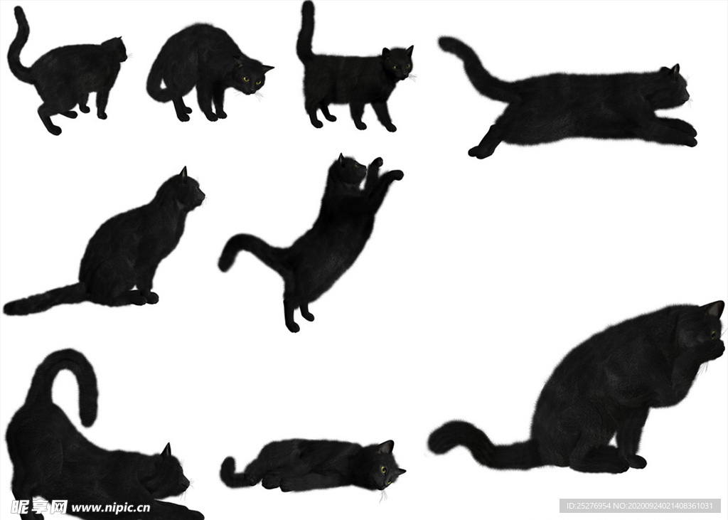 隐猫素材网高清资源免费下载，优质设计素材，创意灵感必备