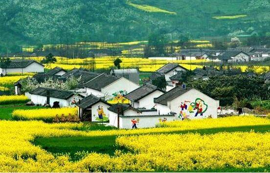 国产农村三级毛片在线观看免费高清，最新热门乡村题材，激情剧情不容错过
