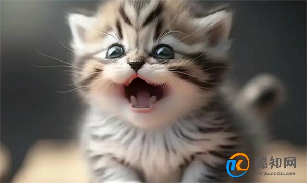 猫咪免费人成网站www推荐优质猫咪免费人成网站www资源，轻松获取，快乐分享