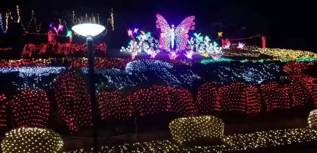 秋霞午夜黄色网绽放璀璨光影，沉醉夜色浪漫，尽享视觉盛宴