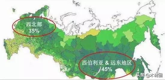 国产91在线亚洲精彩视频，免费观看高清内容，每日更新热门资源