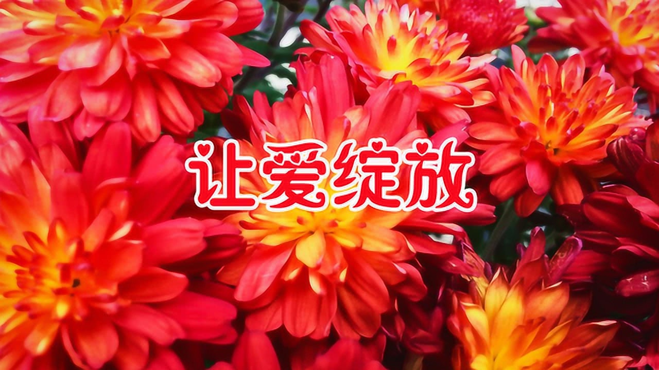 1.久久99精品九九久久久婷婷绝美绽放