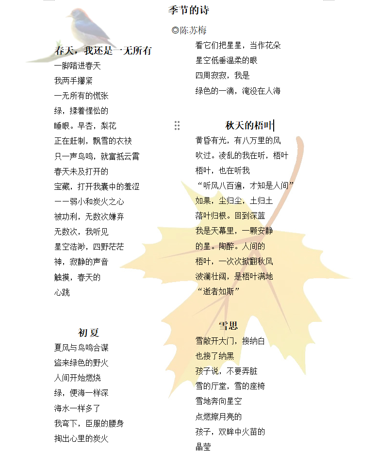 六月丁香芬芳绽放，中文诗意季节，花香满园惹人醉，夏日浪漫风情
