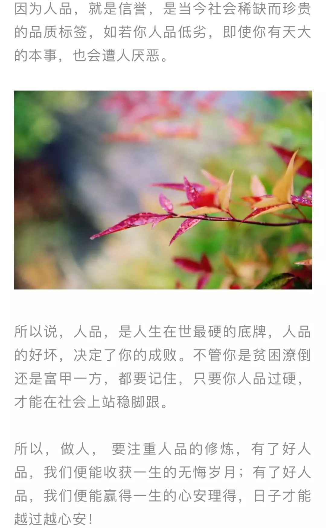 人人精品人人做人人妻人人买打造理想生活，精选好物，共享幸福时光