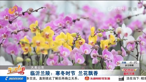 成熟女性无玛生活智慧，优雅绽放，魅力永恒，独立自信风采