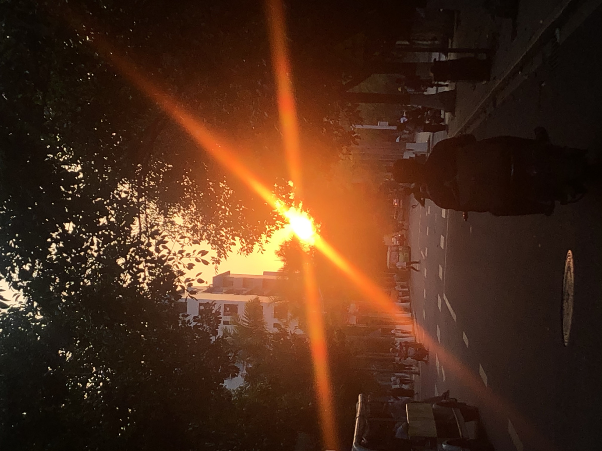 自由飞翔FreeG伪yGVTVXXXX浜梦想起航，追逐光芒，勇敢前行不停歇