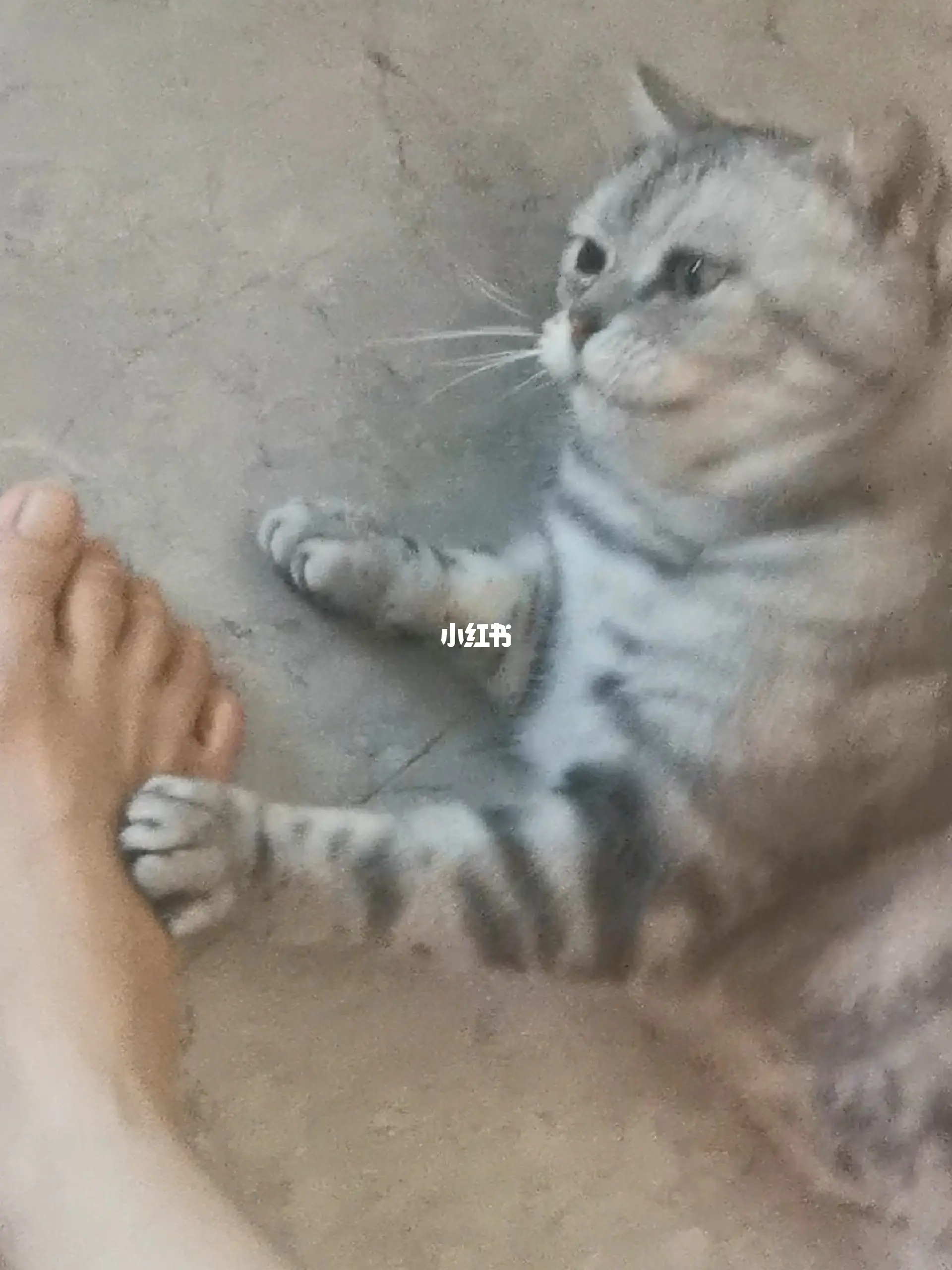跪在女王脚下吮闻脚丫的卑微臣服，感受至高无上的威严，体验独特尊崇的奴役仪式