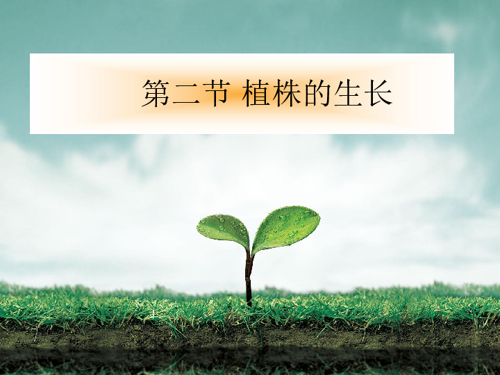 1.依人青青草畔的青春絮语与成长故事