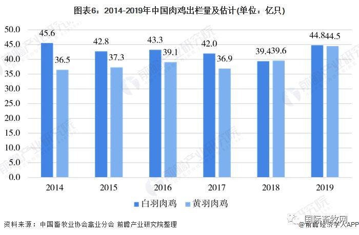 波兰AV产业崛起背后的秘密，探索其全球影响力，揭秘市场趋势与未来发展