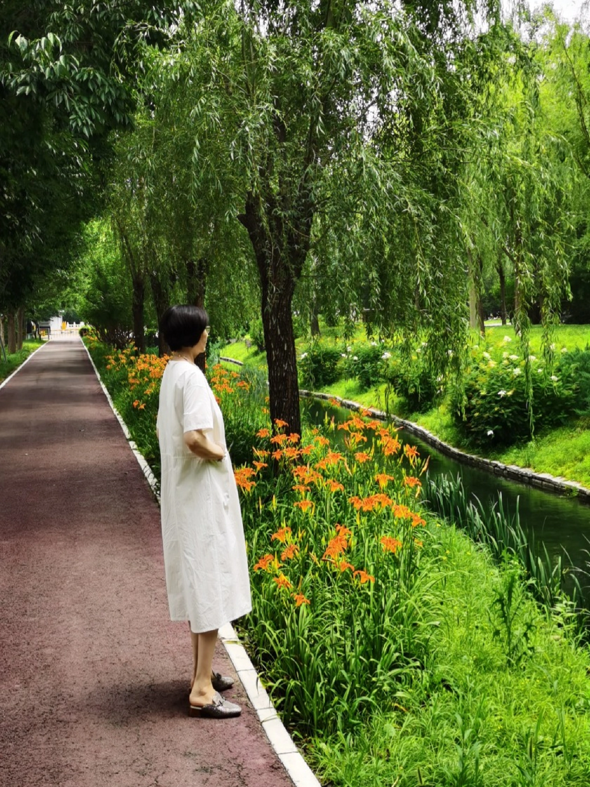 六月丁香AV绽放芬芳时节，浪漫初夏，邂逅醉人花海