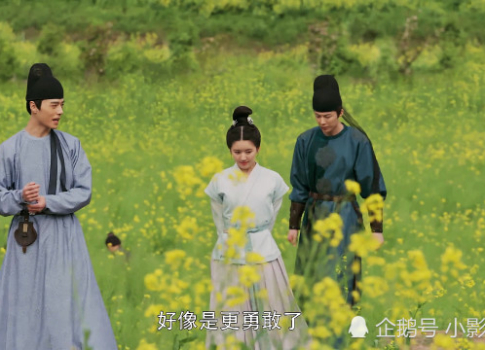 处破videos摘花过程揭秘，看高手如何操作，轻松掌握技巧
