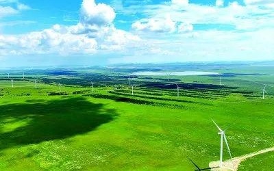 1.久久久青草国绿色生态新篇章