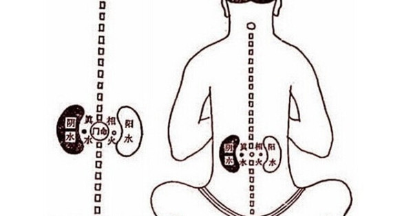 "人体窝www色窝，探索健康与美的秘密，发现舒适生活新方式"